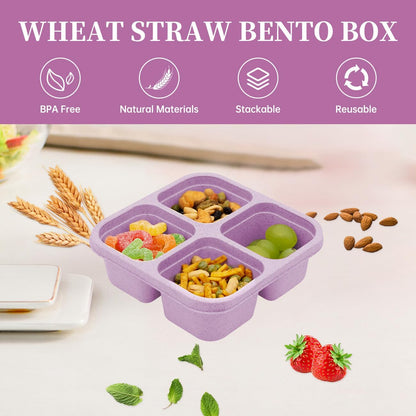 5 Pack Bento Lunch Box,4 Compartment Snack Containers,Divided Snack Box,Meal Prep Lunch Containers for Kids/Toddle/Adults,Food Storage Containers for School, Work and Travel